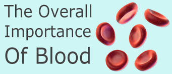 Image result for importance of blood