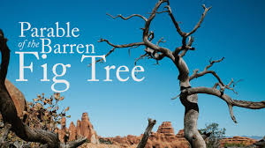 Image result for barren fig tree parable